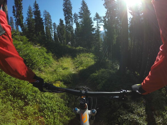 Matzalm Trail