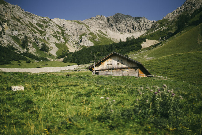 Alpe Setsch  (c) Dominic Berchtold / Vorarlberg Tourismus