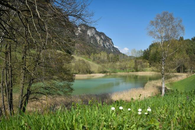 Frauensee