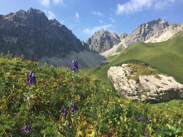 Wanderweg im Kleinwalsertal