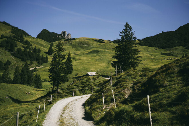 Weg Richtung Mattlerjoch  (c) Dominic Berchtold / Vorarlberg Tourismus