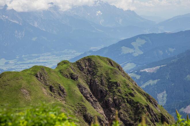 Spielberghorn