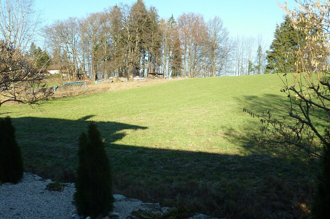 Wiese am Garten Blick Richtung Übersee
