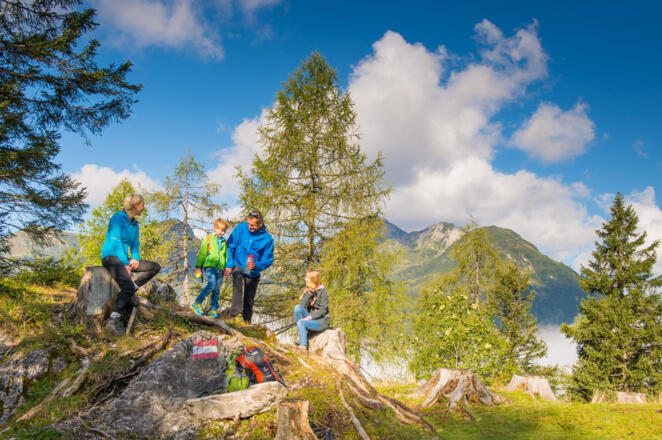 Alles Alm