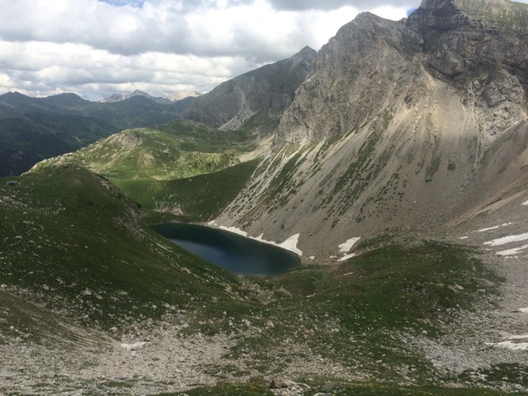 Wildsee