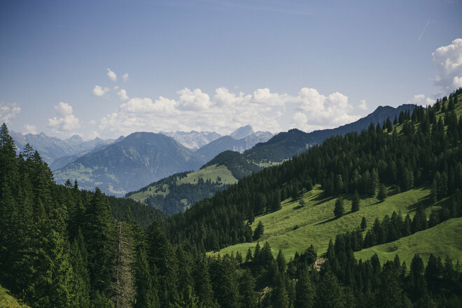 Ausblick Richtung Walgau  (c) Dominic Berchtold / Vorarlberg Tourismus