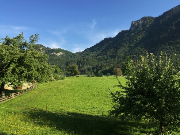 Panorama