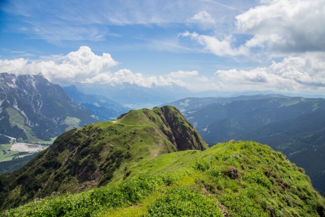Spielberghorn