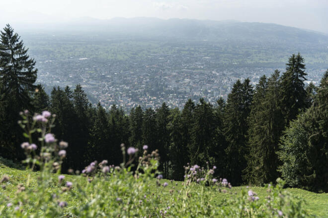 Schwende Alpe - Blick (c) Martin Vogel / Vorarlberg Tourismus auf Dornbirn
