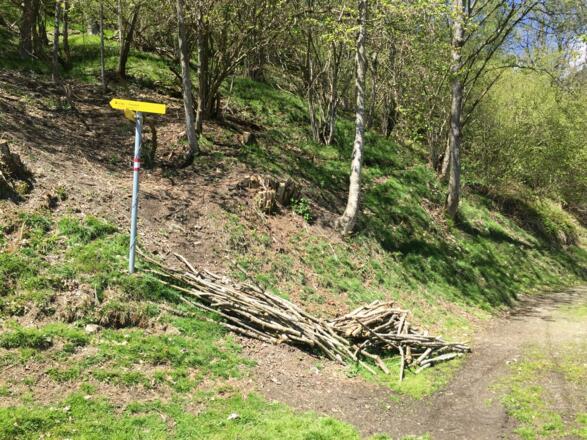Wegweiser Manlitzbach