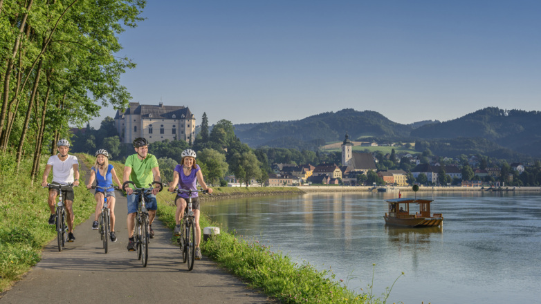 Donauradweg bei Grein