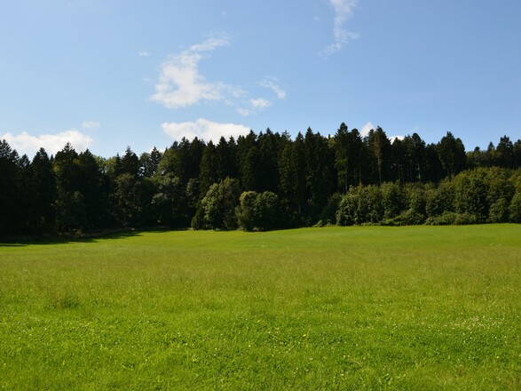 Ausblick Richtung Westen Sommer