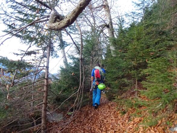 Der Pfad führt unter dem Hechenberg entlang Richtung Westen