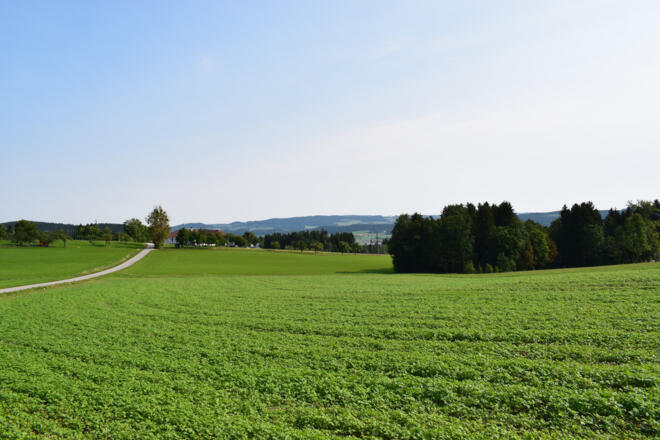 Das mühlviertler Hügelland