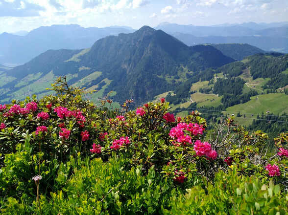 Blick vom Schatzberg zum Gratlspitz