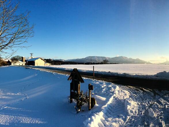 Winter