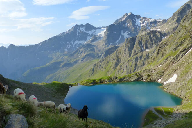 Weisser See