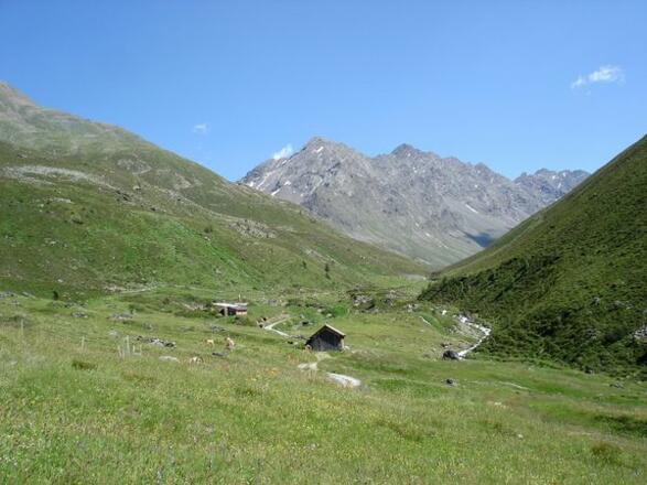 Zwieselbachtal