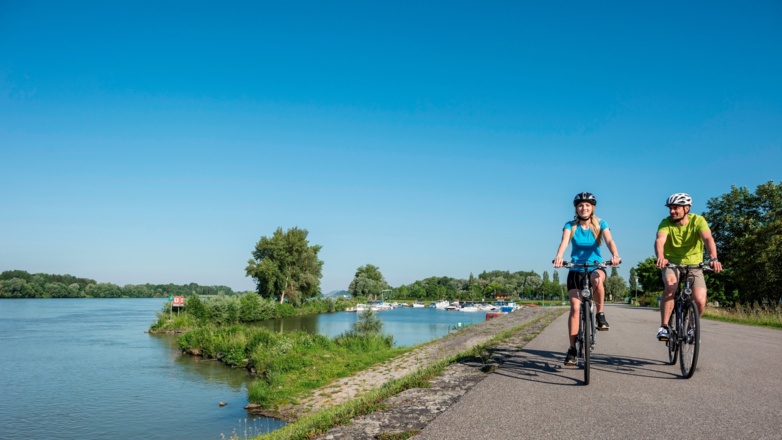 Donauradweg bei Au an der Donau