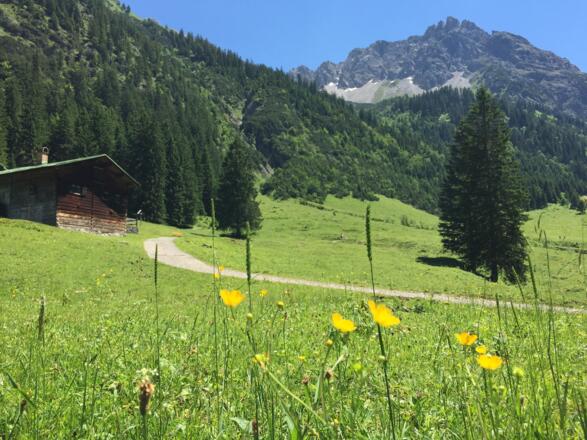 Gemsteltal im Sommer