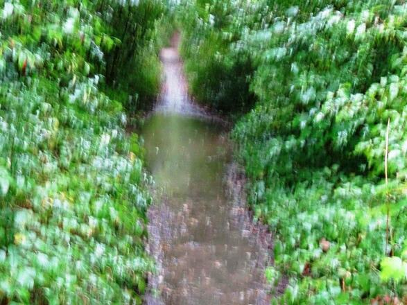 oder bei schlechtem Wetter
