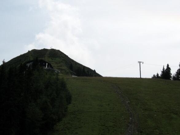 Steil geht es hinauf über Schipiste zum Hecherhaus.