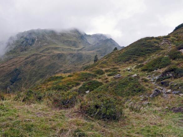 Anstieg zur Stierhofscharte