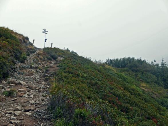 Die letzten Höhenmeter zur Stierhofscharte