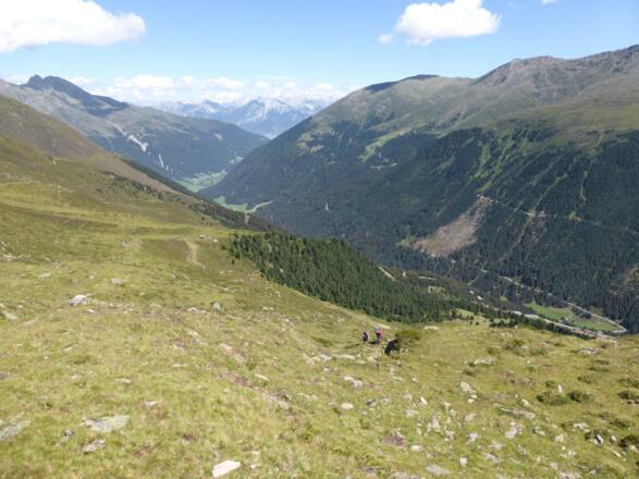 Abstieg ins Lüsenstal. 