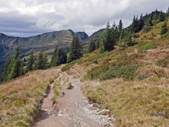 Auf dem Weg zur Ochsenhofer Scharte