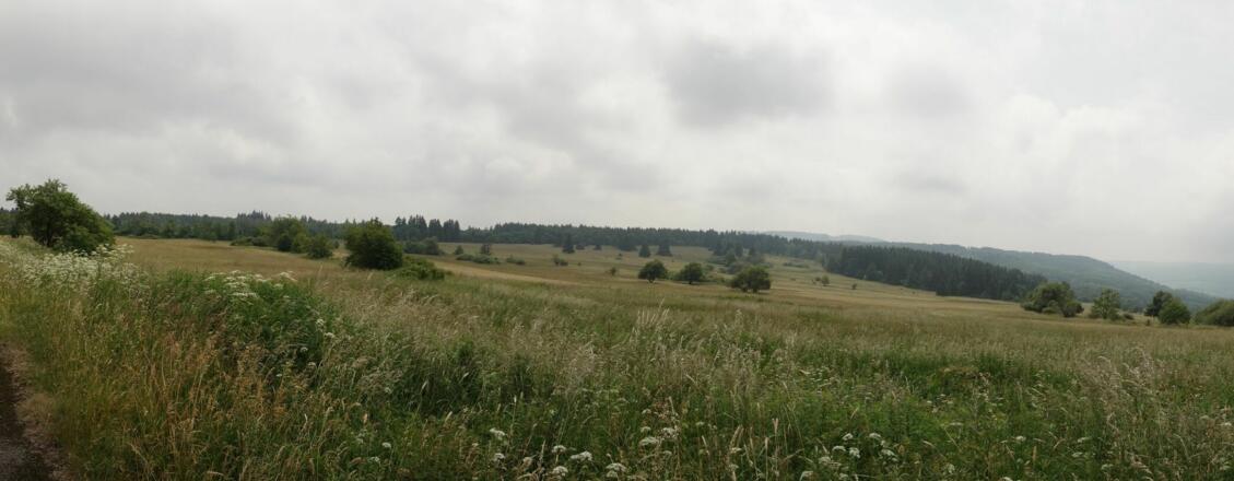 Hochrhön kurz vor dem Schwarzen Moor