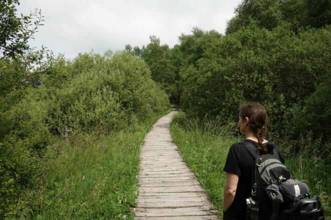 Lehrpfad im Schwarzen Moor