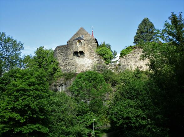 Die Burgruine Hohenbregenz mit .... 