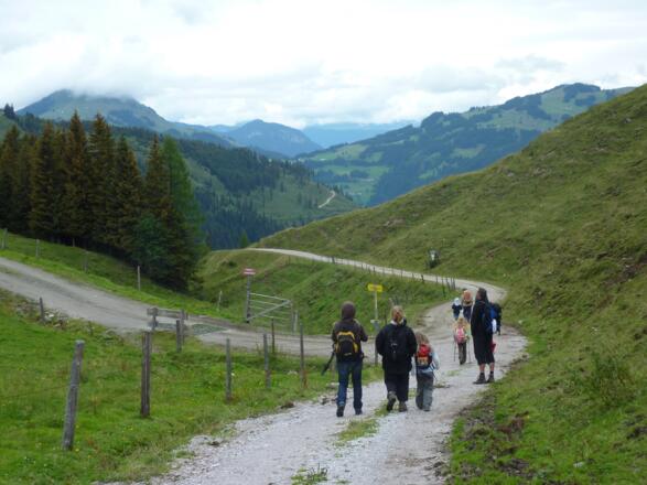 kurz auf dem Fahrweg gleich nach der Wiegalm