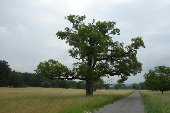 Zurück in die Hochrhön