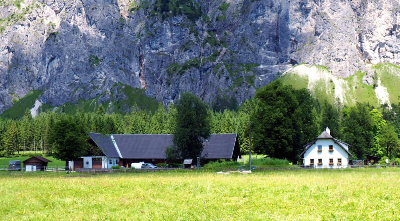 Polsterstüberl ~620m