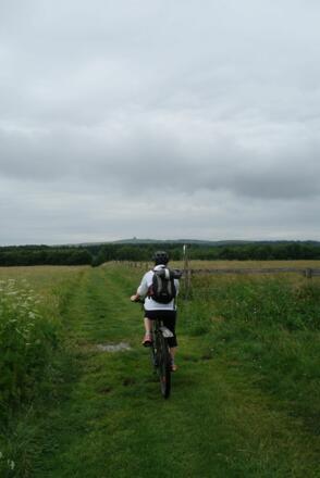 Feldweg