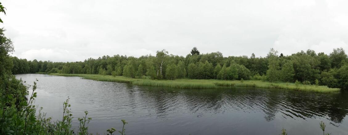 Rotes Moor