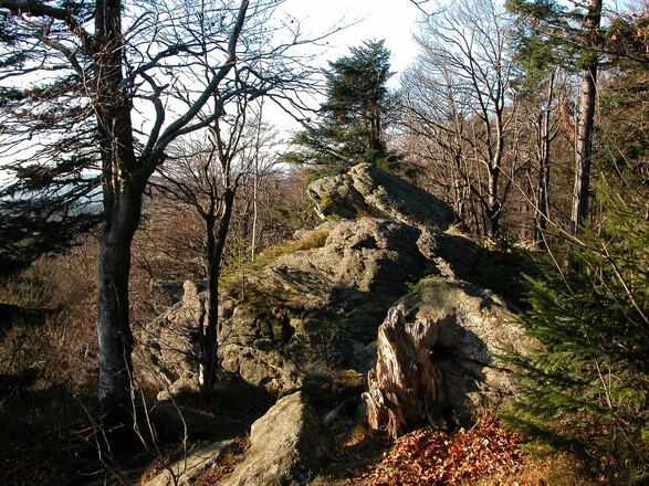 Gipfelfelsen