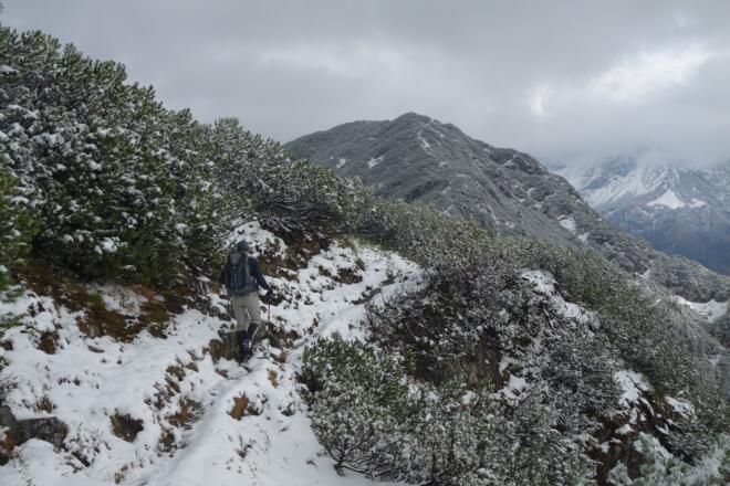Latschengassen zum Geierkogel