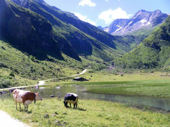 Ofneralm