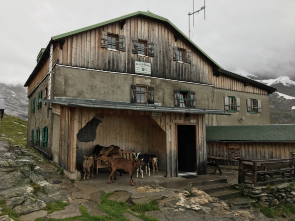 Grenzer Hütte