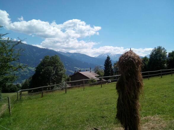 Freitag, 15. Juni 2018 14:58:55