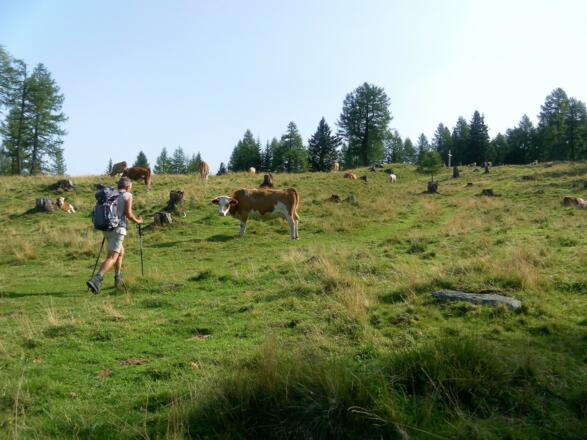 Gipfelkuppe