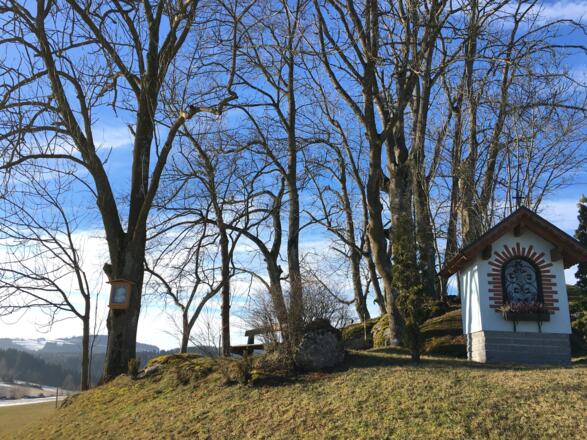 Richtung Haid