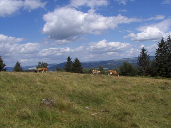 An der Milseburg bieten sich uns herrliche Panoramablicke.