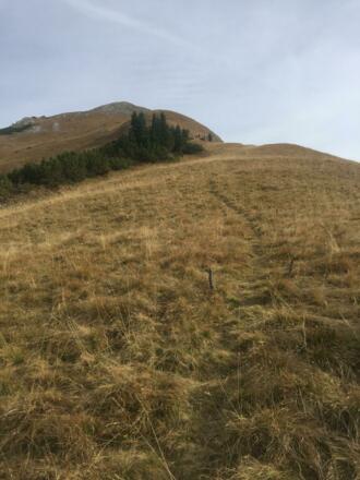 Der Steig führt steil bergan