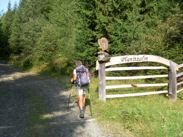 oberhalb des Zwischenberger Sattels