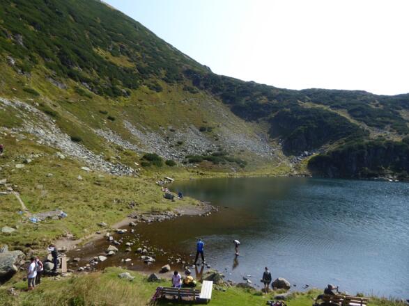 Wildsee.