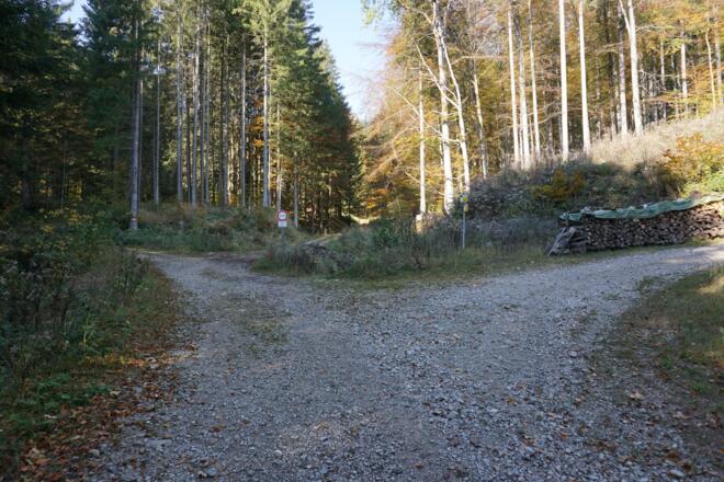 Der Forststraße nach links folgen